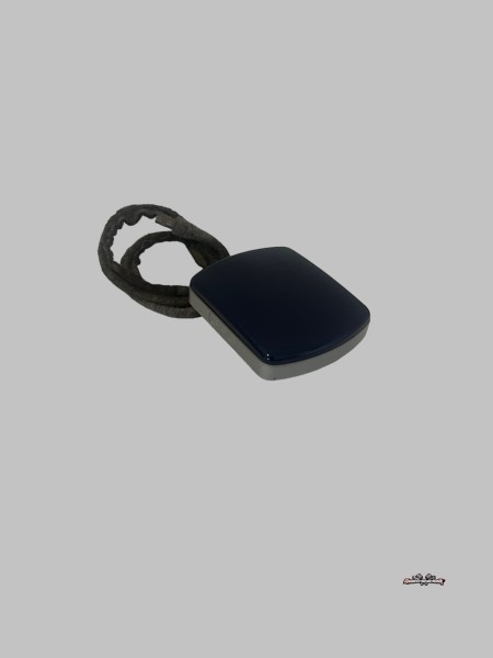 GPS Antenne Navigation Audi A8 S8 4D Naviantenne 4D0919889 Santorinblau LZ5K